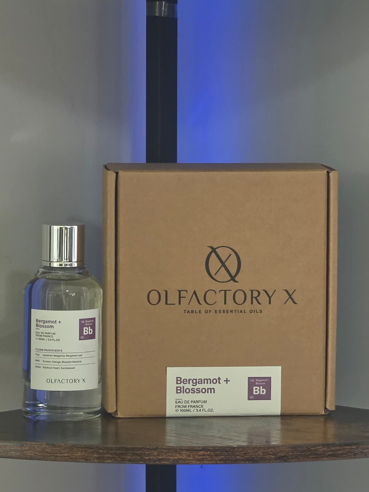 Bergamot + Blossom (Bb) by Olfactory X 3.4 oz/100 ml EDP - Unisex | UrbanOudAirNYC